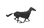 Running Horse